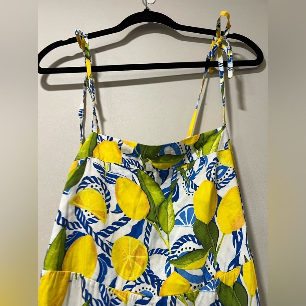 Kenny Flowers THE POSITANO
Resort Dress Lemon and Blue Maxi Dress - Picture 8 of 12